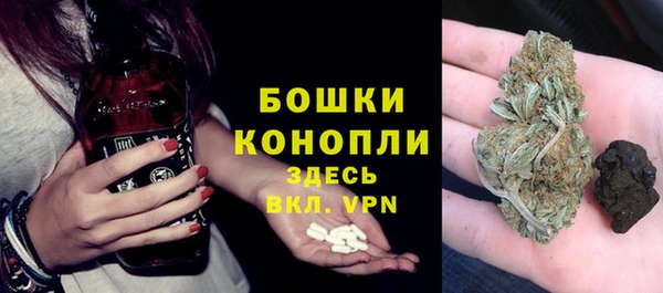 дмт Богданович
