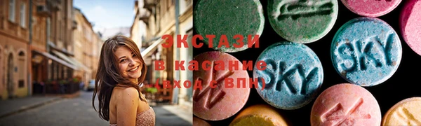 дмт Богданович
