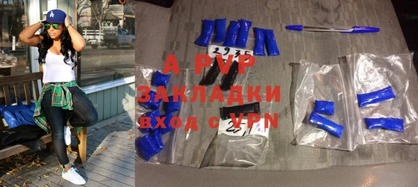 дмт Богданович