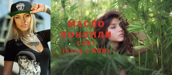 дмт Богданович