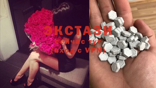 ECSTASY Богородск
