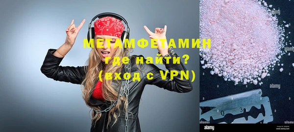 дмт Богданович