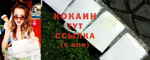 дмт Богданович