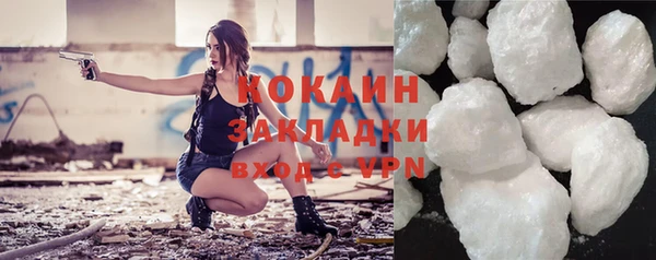 дмт Богданович