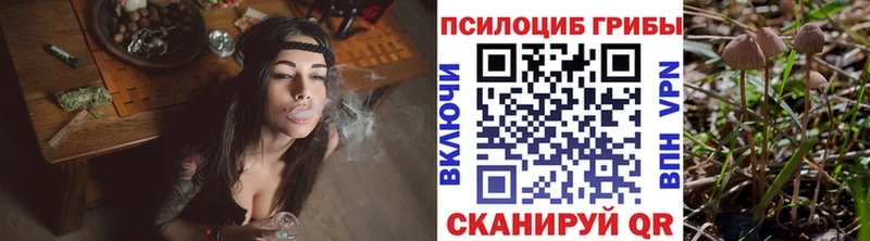 Псилоцибиновые грибы прущие грибы это формула Городец
